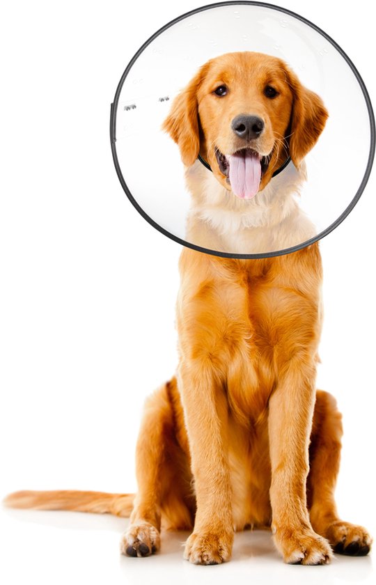 Zenpet E-Clear Plastic E-collar XLarge – Doorzichtige hondenkraag – Beschermkraag hond – Hondenkap – Plastic Hondenkraag - Beschermkap – Nekomtrek 31 tot 53cm