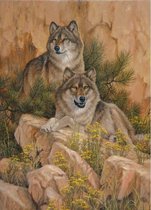 Denza - Diamond painting wolven in de natuur 40 x 50 cm volledige bedrukking ronde steentjes direct leverbaar - wolf - wolves