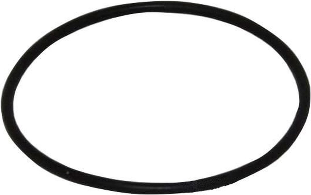 Eheim Dichtingsring voor 3533