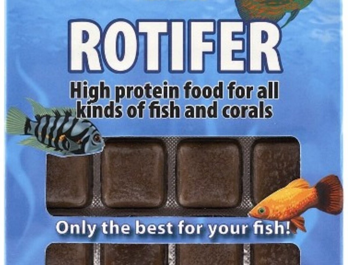 Ruto red label rotifer 100 gr