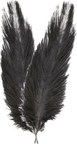 Chaks Struisvogelveer/sierveer - 2x - zwart - 55-60 cm - decoratie/hobbymateriaal