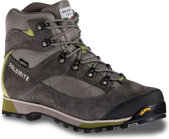 Dolomite Zernez Goretex Wandelschoenen Grijs EU 42 Man