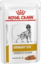 Royal Canin Urinary S/O Chien Wet à calories modérées - 24 x 100 g