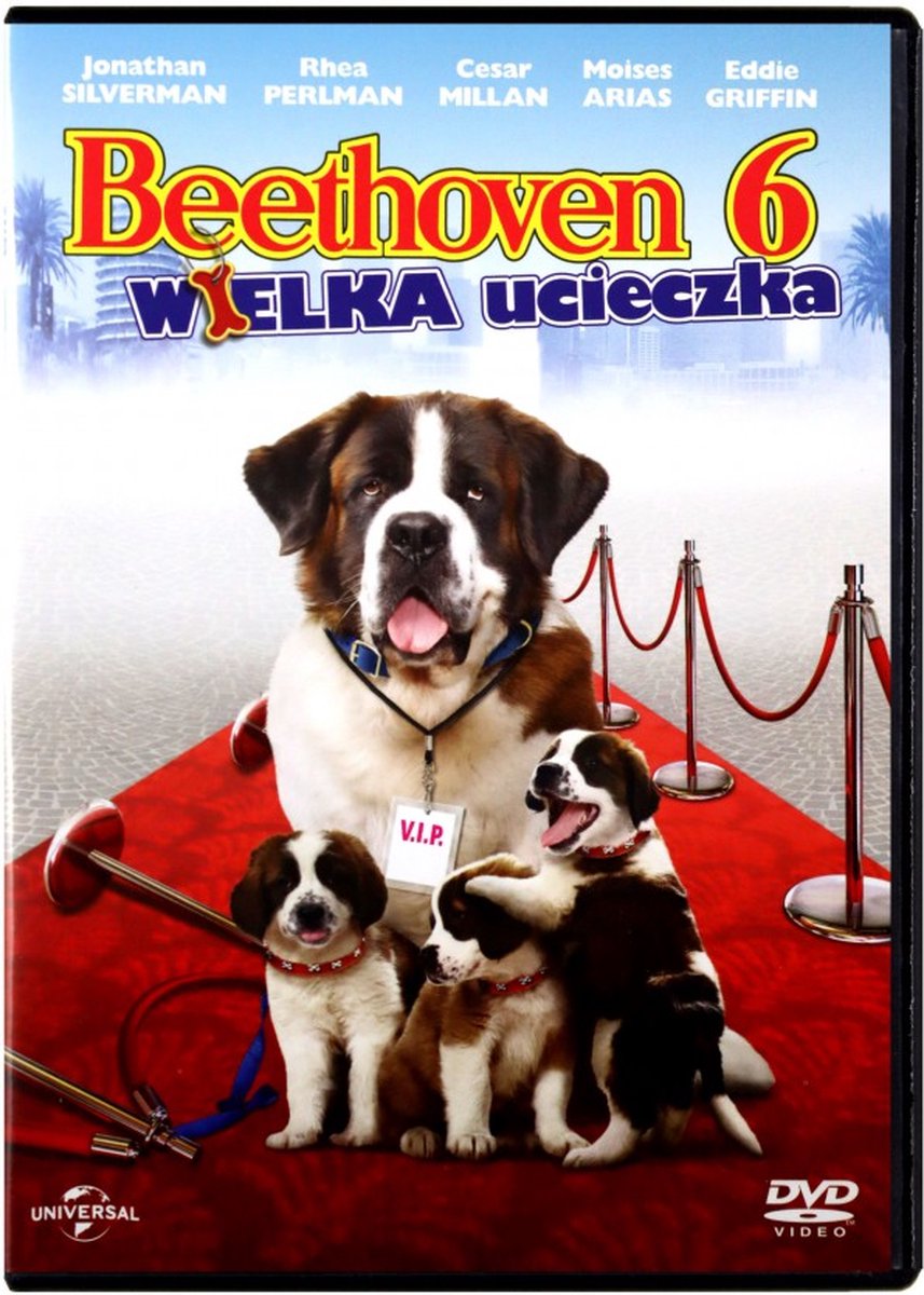 Beethoven's Big Break [DVD] - 