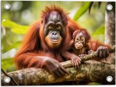 Tuinposter – Orang Oetan Aap met Baby zittend bij Takken - 40x30 cm Foto op Tuinposter (wanddecoratie voor buiten en binnen)