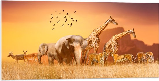 Acrylglas - De Dieren van het Afrikaanse Landschap - 100x50 cm Foto op Acrylglas (Wanddecoratie op Acrylaat)