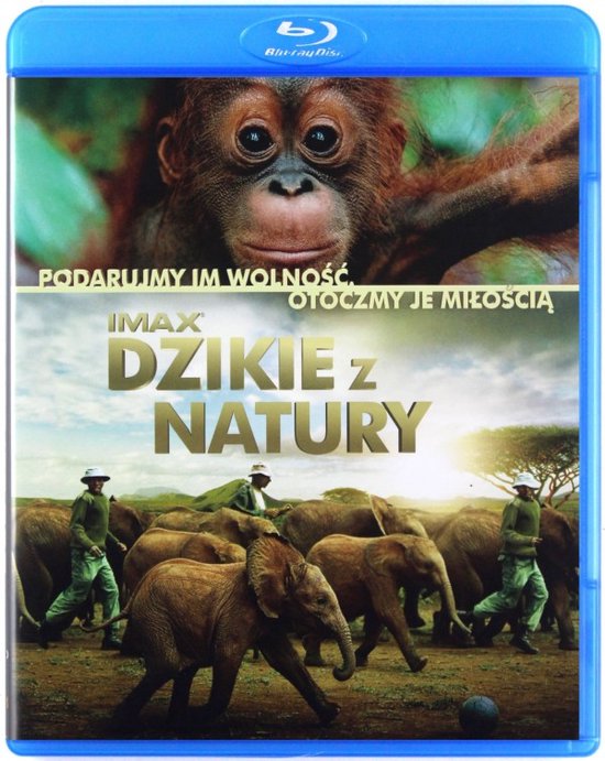 Born to Be Wild [Blu-Ray]