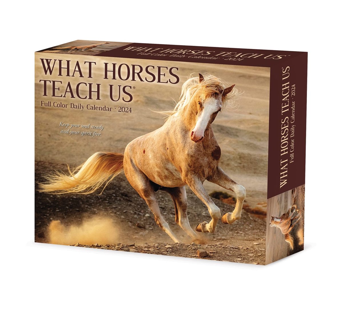 What Horses Teach Us Kalender 2024 Boxed