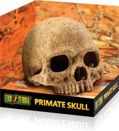 Abri Exo Terra Primate Skull - Décoration Terrarium - 11 x 21 x 14 cm