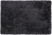 CIDE - Shaggy vloerkleed - Zwart - 200 x 300 cm - Polyester
