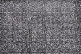 ESEL - Laagpolig vloerkleed - Grijs - 160 x 230 cm - Viscose