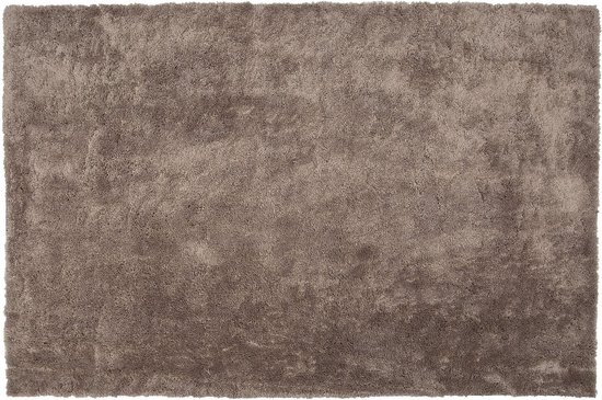 EVREN - Shaggy vloerkleed - Bruin - 200 x 300 cm - Polyester