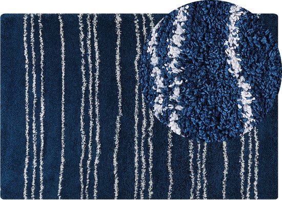 TASHIR - Shaggy tapijt - Blauw - 200 x 300 cm - Polypropyleen