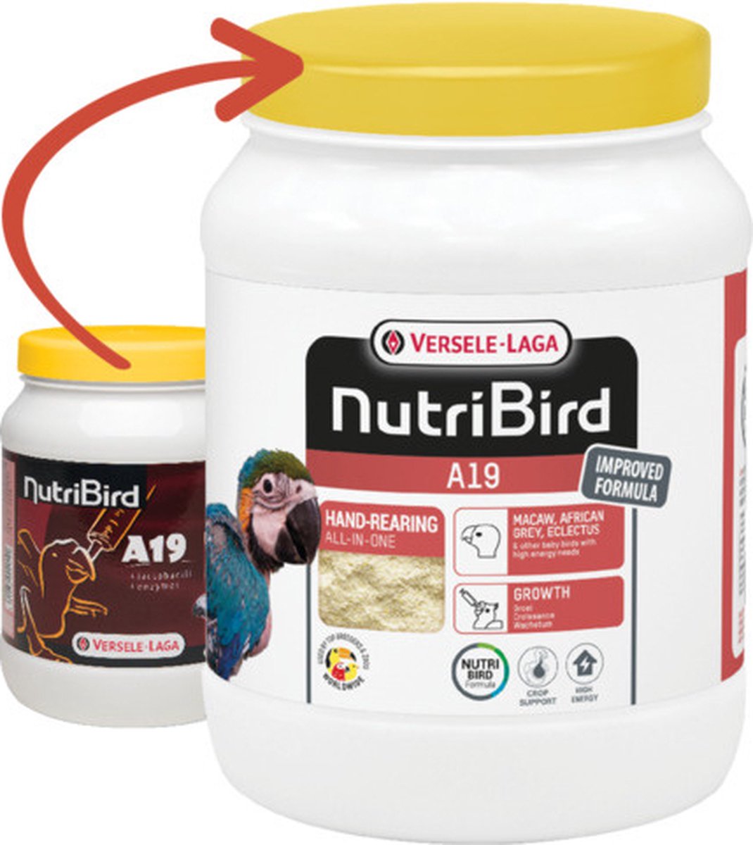 Handopfok A19 papegaai 800 gram - A19 papegaai 800 gram - Vogelvoer - Lori - Nutribird - Nutribird
