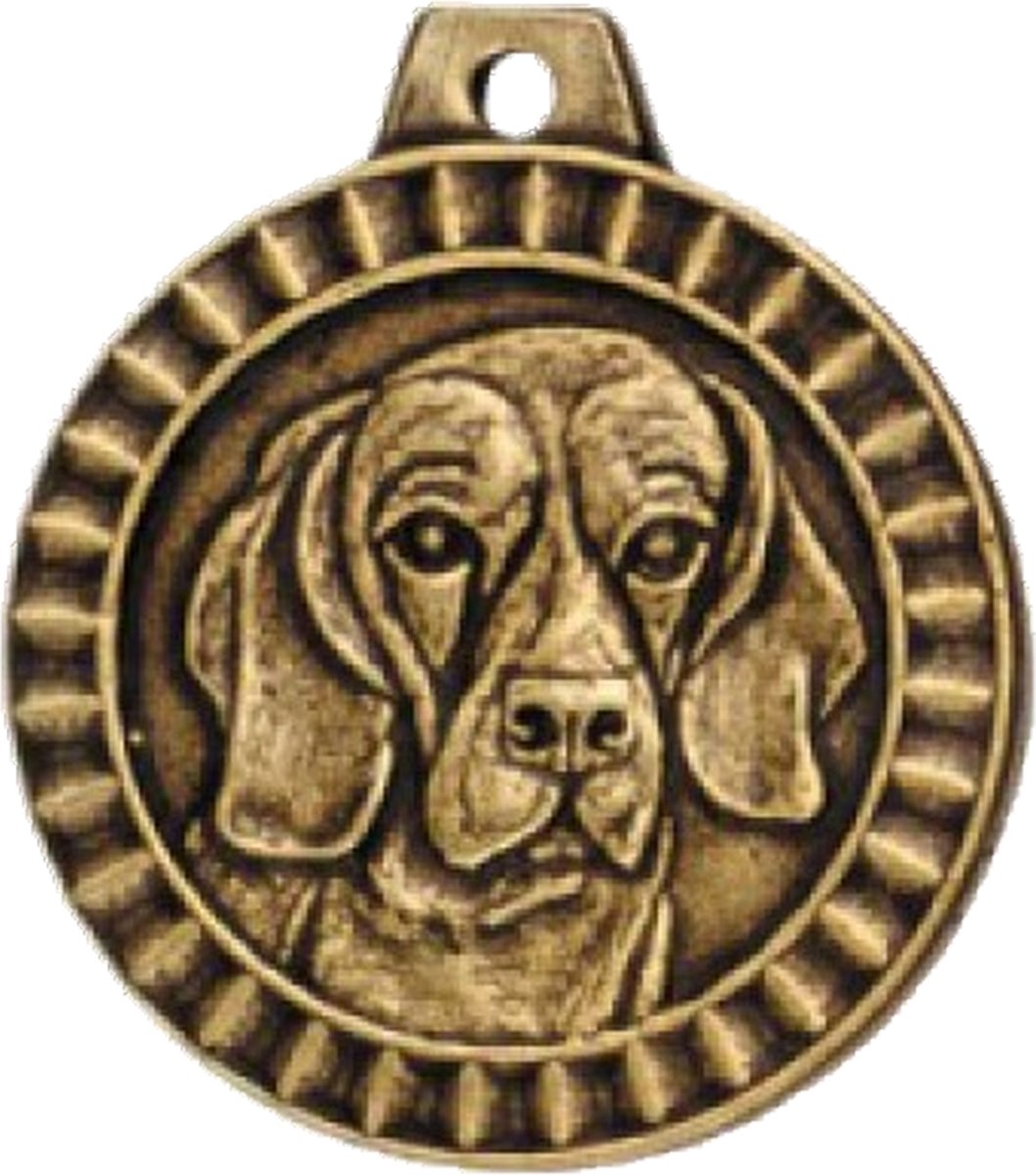 Médaille assortie chien