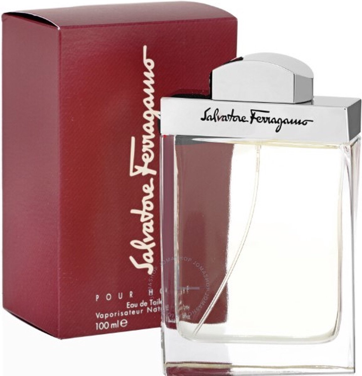 Goedkoopste Salvatore ferragamo pour homme - 100 ml - eau de toilette