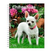 Agenda Chihuahua 2024