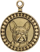 Hondenpenning - Rashond Franse Bulldog