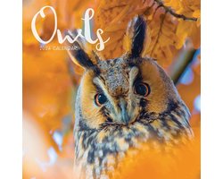 2024 Owls Mini Wall Calendar