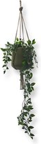 Plantenhanger - Beige - 60 cm - Katoen - Macramé - Handgemaakt in Nederland - Let op: Excl. Pot - Inclusief Verzendkosten