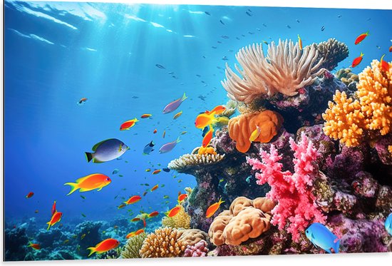Dibond - Felkleurige Koraal Omringd door Tropische Vissen op Zeebodem - 105x70 cm Foto op Aluminium (Met Ophangsysteem)