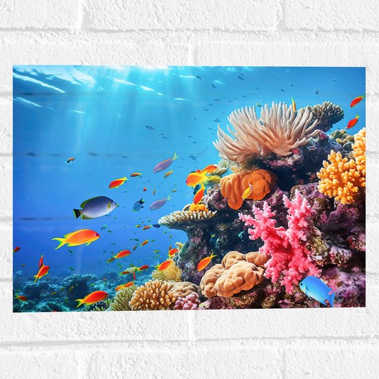 Muursticker - Felkleurige Koraal Omringd door Tropische Vissen op Zeebodem - 40x30 cm Foto op Muursticker