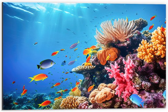 Dibond - Felkleurige Koraal Omringd door Tropische Vissen op Zeebodem - 60x40 cm Foto op Aluminium (Wanddecoratie van metaal)