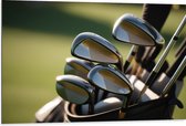 Dibond - Golf Clubs in Trolley op Golfbaan - 105x70 cm Foto op Aluminium (Met Ophangsysteem)
