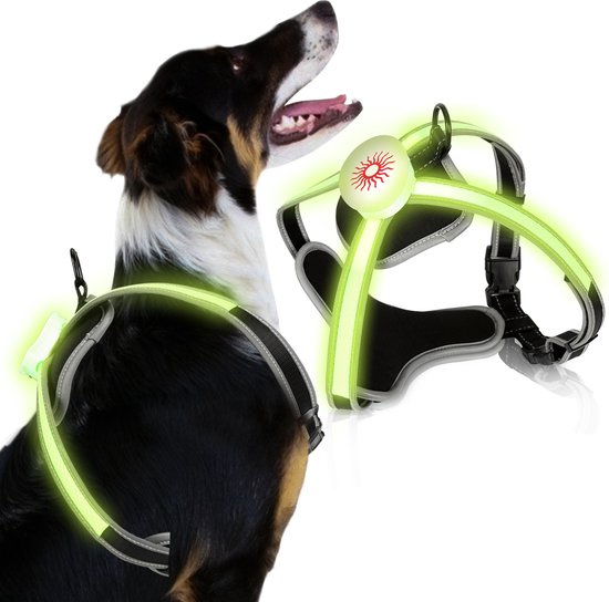 LED hondenharnas - oplaadbaar, gloeit in het donker, 3 lichtmodi, waterdicht, verstelbaar voor kleine tot grote honden (blauw