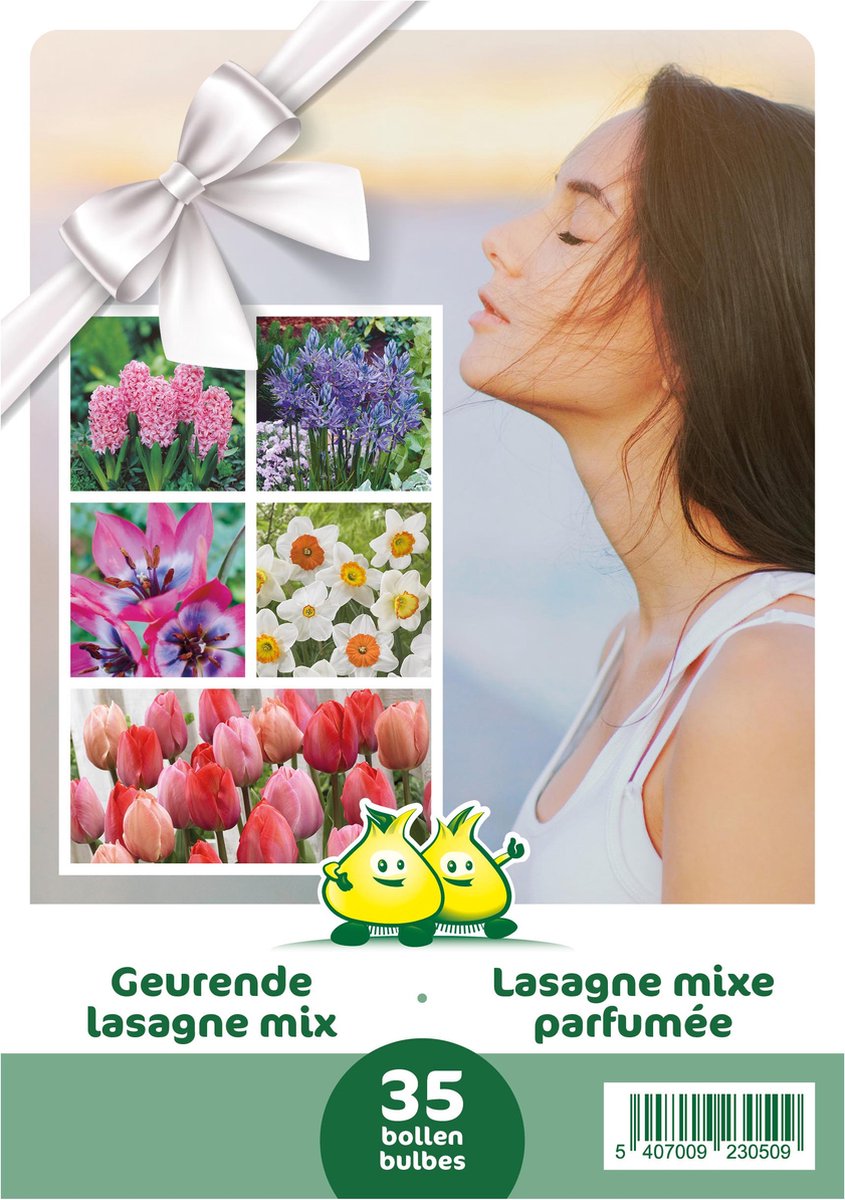 Cadeau verpakking 35 bloembollen Geurende Lasagne mix - tulpen - narcis - camassia - hyacint - geschenkverpakking