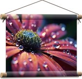 Textielposter - Bloem - Water - Druppels - Natuur - 40x30 cm Foto op Textiel