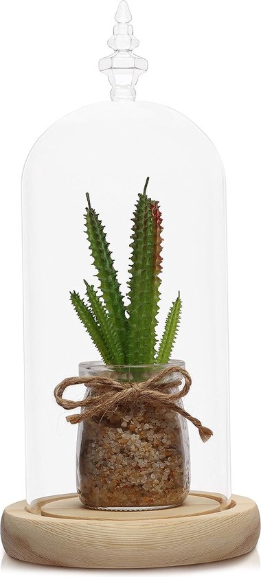 Klok glas koepel glazen kap glazen bel glazen koepel met bodem, 14 cm, hoogte: 21 cm met houten basis