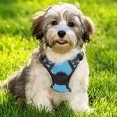 Anti Trek Hondentuig Maat M met Hondenriem Blauw - Kleine Hond - Y Tuig Hond Verstelbaar - Hondenharnas met Hondenlijn - Hondentuigje - Honden tuigje