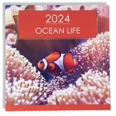 Calendrier mensuel 2024 Ocean Life - 28x28,5 cm - Calendrier des animaux marins - Calendrier de couverture