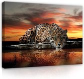 Canvas Schilderij - Jaguar - Zonsondergang - Cheeta - Dieren - Lucht - Wild - Natuur - Afrika - Schilderij Woonkamer - Schilderijen op canvas - Inclusief Frame - 80x60cm (LxB)