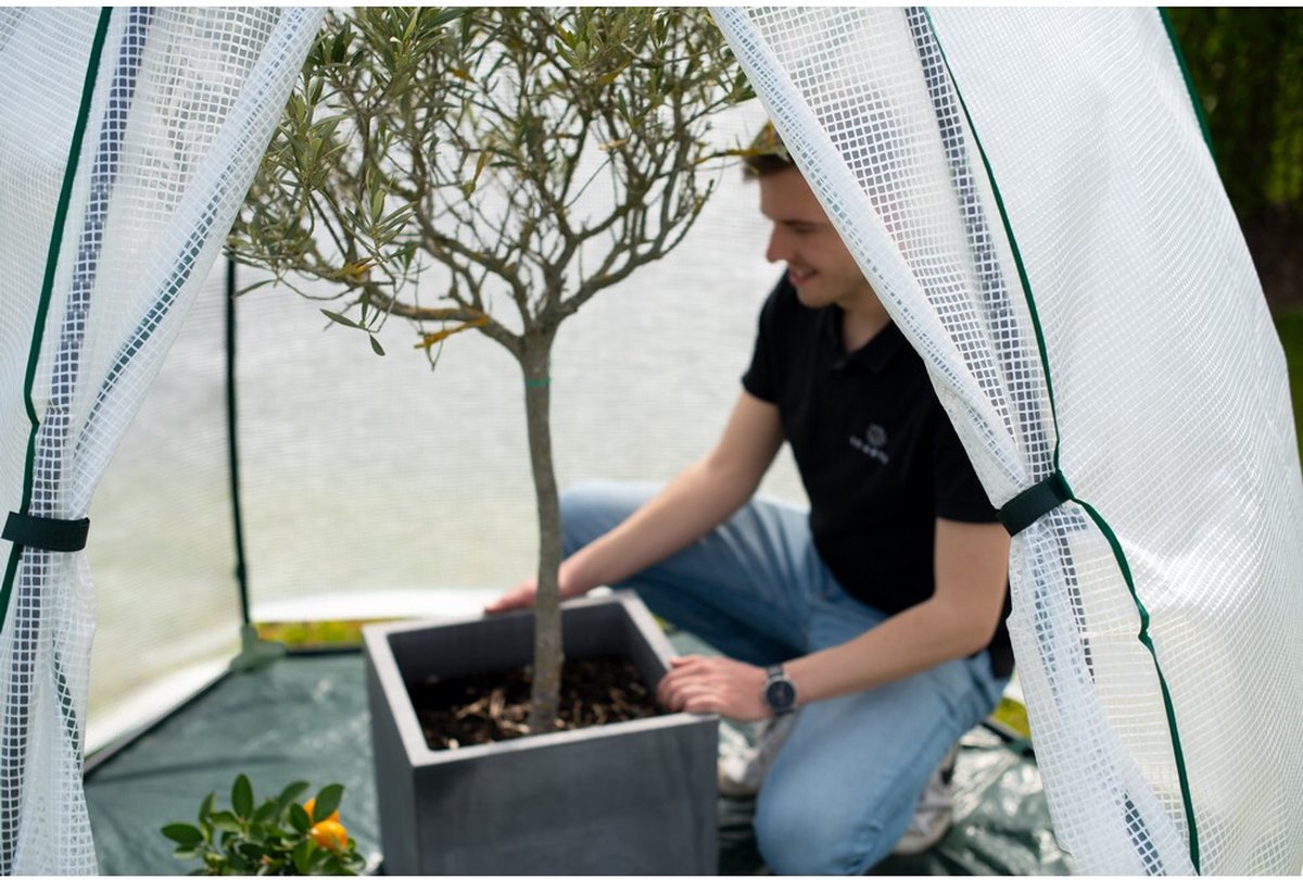 Westmann Munt plant overwintering tent - 200 x 200 cm