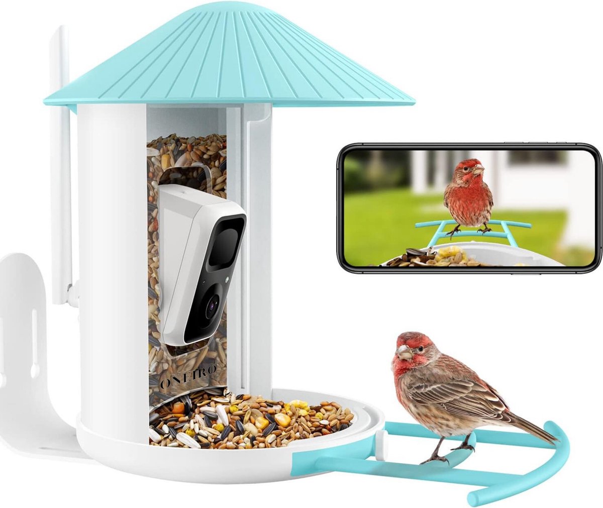 Mangeoire à oiseaux avec caméra Station d'alimentation extérieure pour