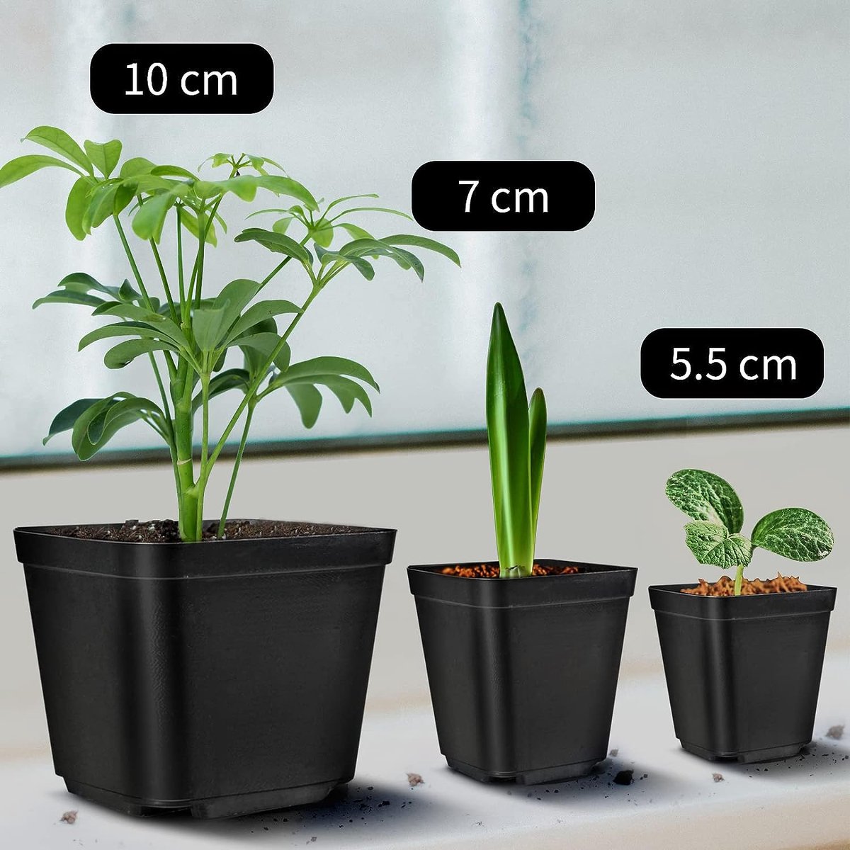 Lot 10 Pots De Culture 8,5cm - Pots Plastique Pour Semis Plantes Succulentes Légumes