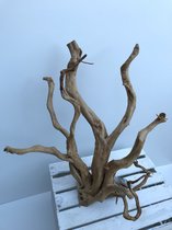 Spiderwood - Premium Aquariumdecoratie