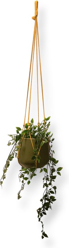 Plantenhanger Zonder Kwast - Kies Kleur en Lengte - Okergeel - 80 cm lang - Katoenkoord - Geschikt voor Pot met Diameter t/m 20 cm - Handgemaakt in ons Macramé Atelier - Prijs per Stuk - Let op: Exclusief Pot - Inclusief Verzendkosten
