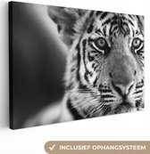 Peintures sur toile Tigre - Ourson - Portrait - 150x100 cm - Décoration murale