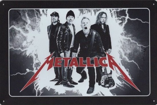 Metalen wandbord Metallica - 20 x 30 cm