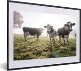 Fotolijst incl. Poster - Koeien - Licht - Gras - Dieren - 60x40 cm - Posterlijst