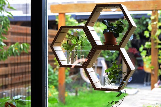 Plantenhanger binnen - Stekstation - Bamboe plantenhanger - Incl. 3 reageerbuisjes