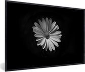 Photo encadrée - Une marguerite blanche sur fond noir Cadre photo noir 60x40 cm - Affiche encadrée (Décoration murale salon / chambre)