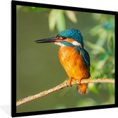 Poster - Fotolijst - Vogel - IJsvogel - Tak - Bladeren - 40x40 cm - Poster vogels - Poster in lijst - Wanddecoratie natuur - Poster dieren - Foto met lijst - Posters - Frame - Posterlijst