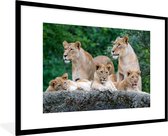 Fotolijst incl. Poster - Leeuwen - Dieren - Welpen - 120x80 cm - Posterlijst
