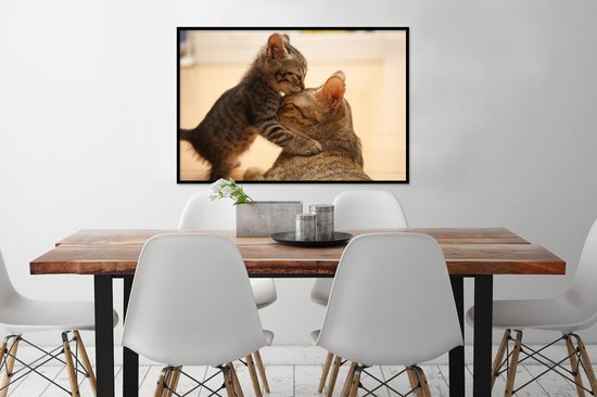 Cadre photo avec affiche - Chat - Chaton - Zwart - 120x80 cm - Cadre pour affiche
