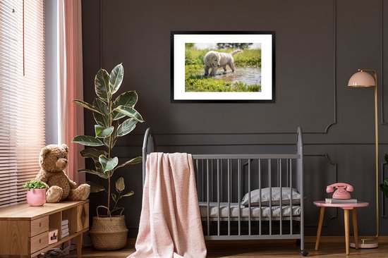 Photo encadrée - Puppy jouant dans un étang cadre photo noir avec passe partout blanc 60x90 90x60 cm - Affiche encadrée (Décoration murale salon / chambre)