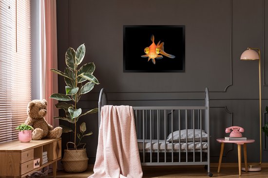 Cadre photo avec affiche - Poisson rouge - Animaux aquatiques - Yeux - 80x60 cm - Cadre pour affiche